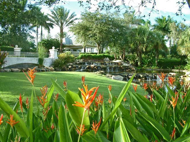 At the Estuary main entry, the waterfall from the left of the guardhouse appears to travel under the road and fall here into this river which leads to the golf course - Naples, Florida